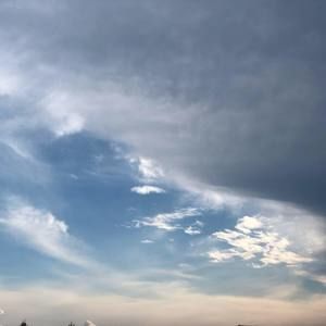 Meet your Posher, Arlene